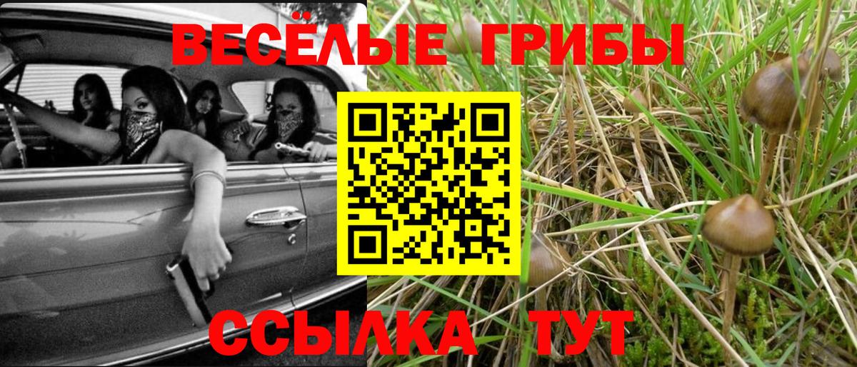 Озёрск  Псилоцибиновые грибы мухоморы  Галлюциногенные грибы мухоморы  Вход с VPN 